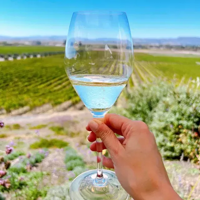 Ein Glas Wein, das in einem Weinberg in Sonoma hochgehalten wird.